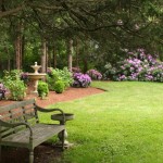 Perennial gardens Hosta Rhodies